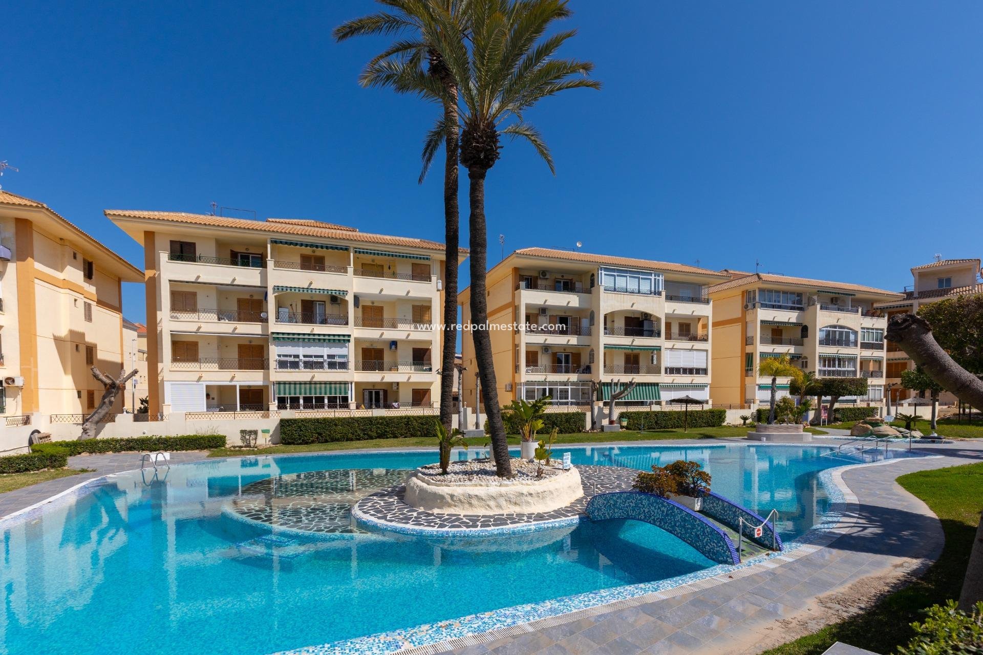 Reventa - Apartmentos -
Torrevieja - La Mata