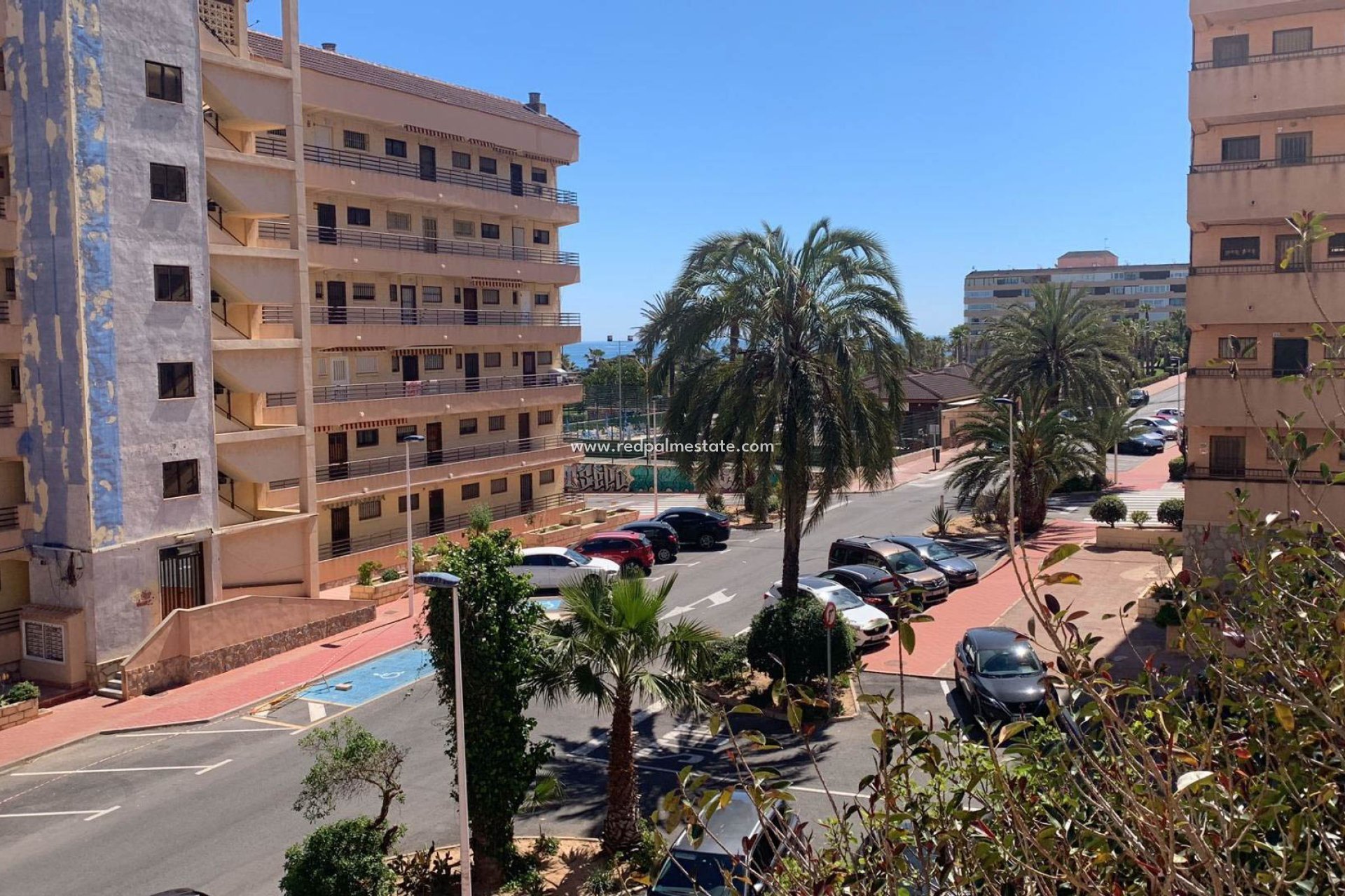 Reventa - Apartmentos -
Torrevieja - La Mata
