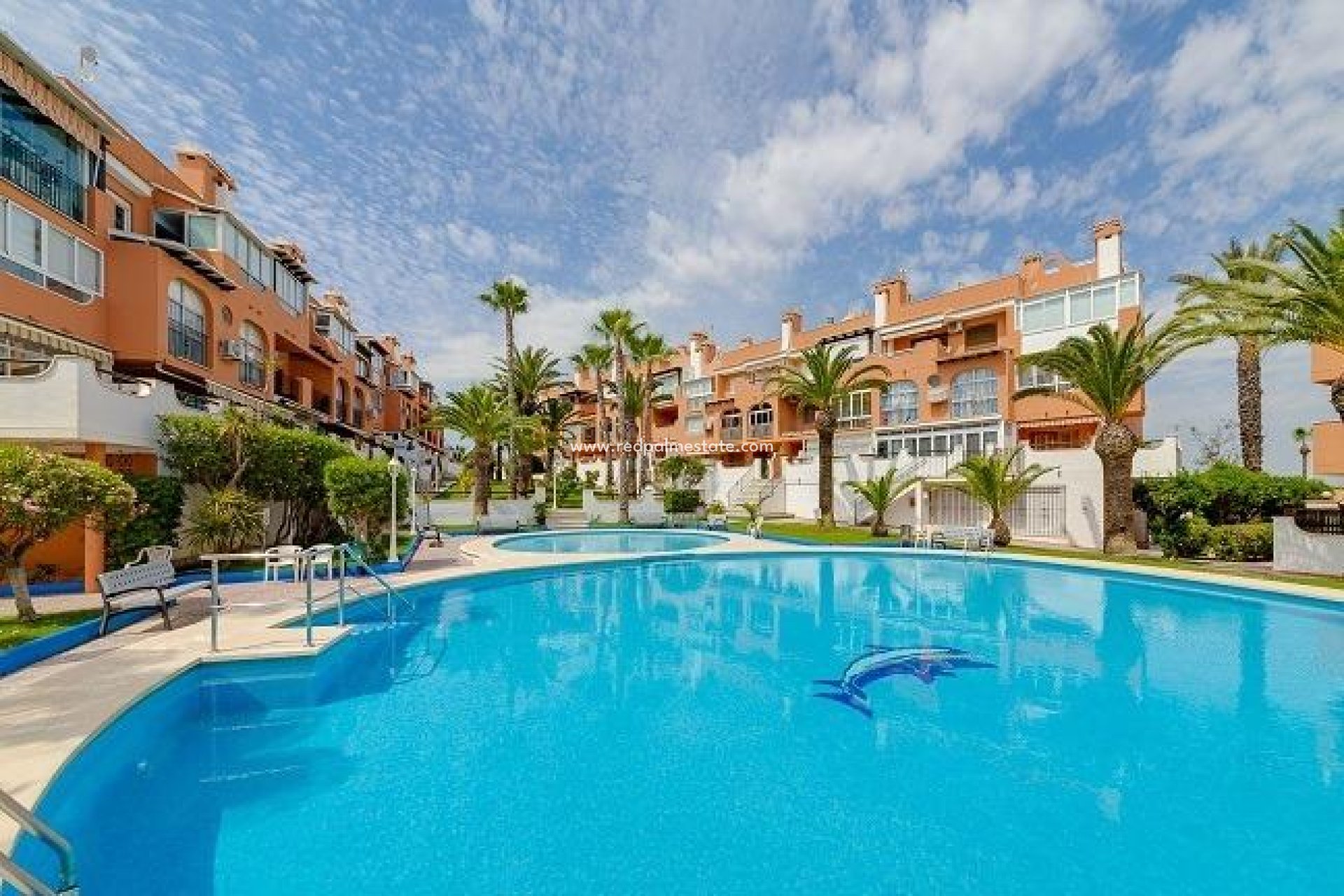 Reventa - Apartmentos -
Torrevieja - La Veleta
