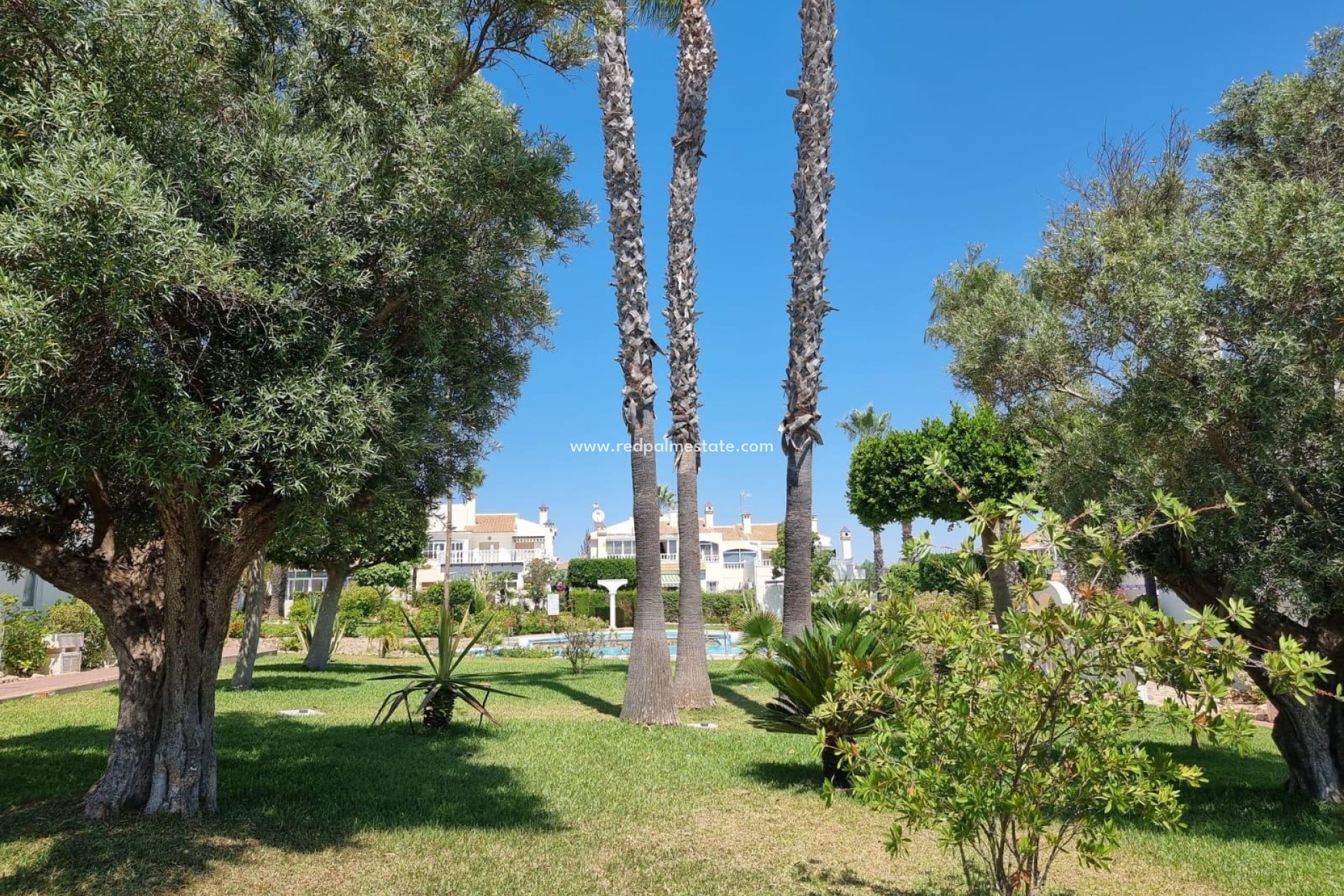 Reventa - Apartmentos -
Torrevieja - Los balcones