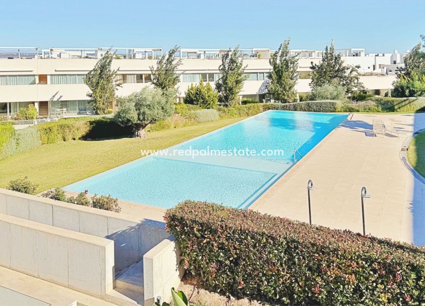 Reventa - Apartmentos -
Torrevieja - Los balcones