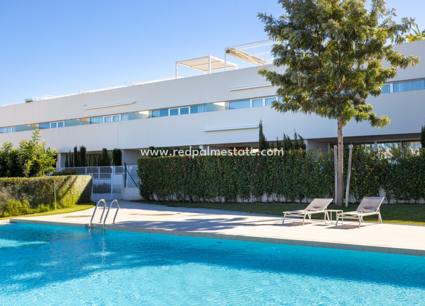 Reventa - Apartmentos -
Torrevieja - Los balcones
