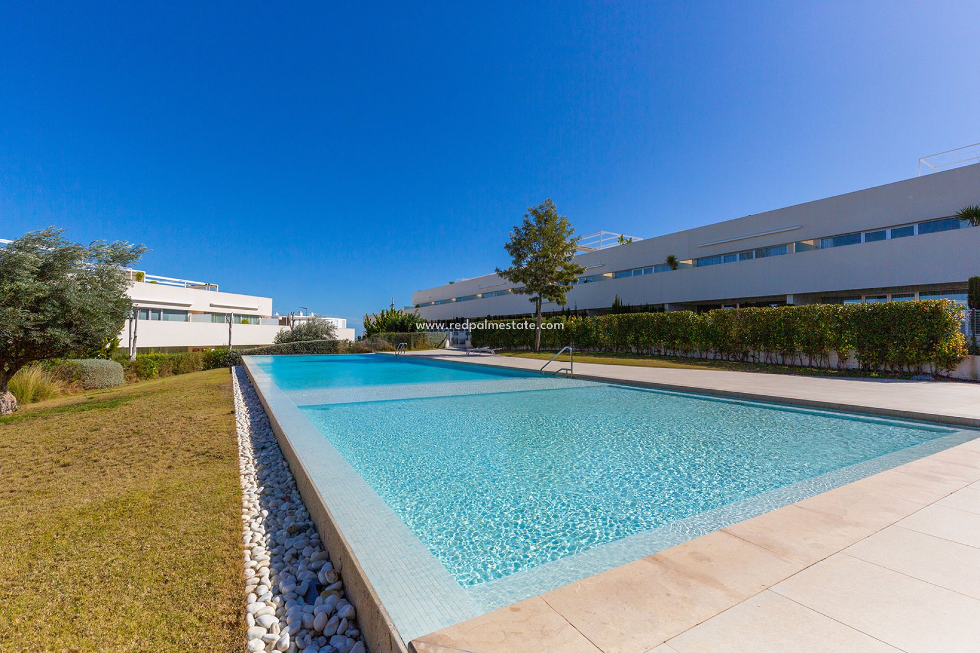 Reventa - Apartmentos -
Torrevieja - Los balcones