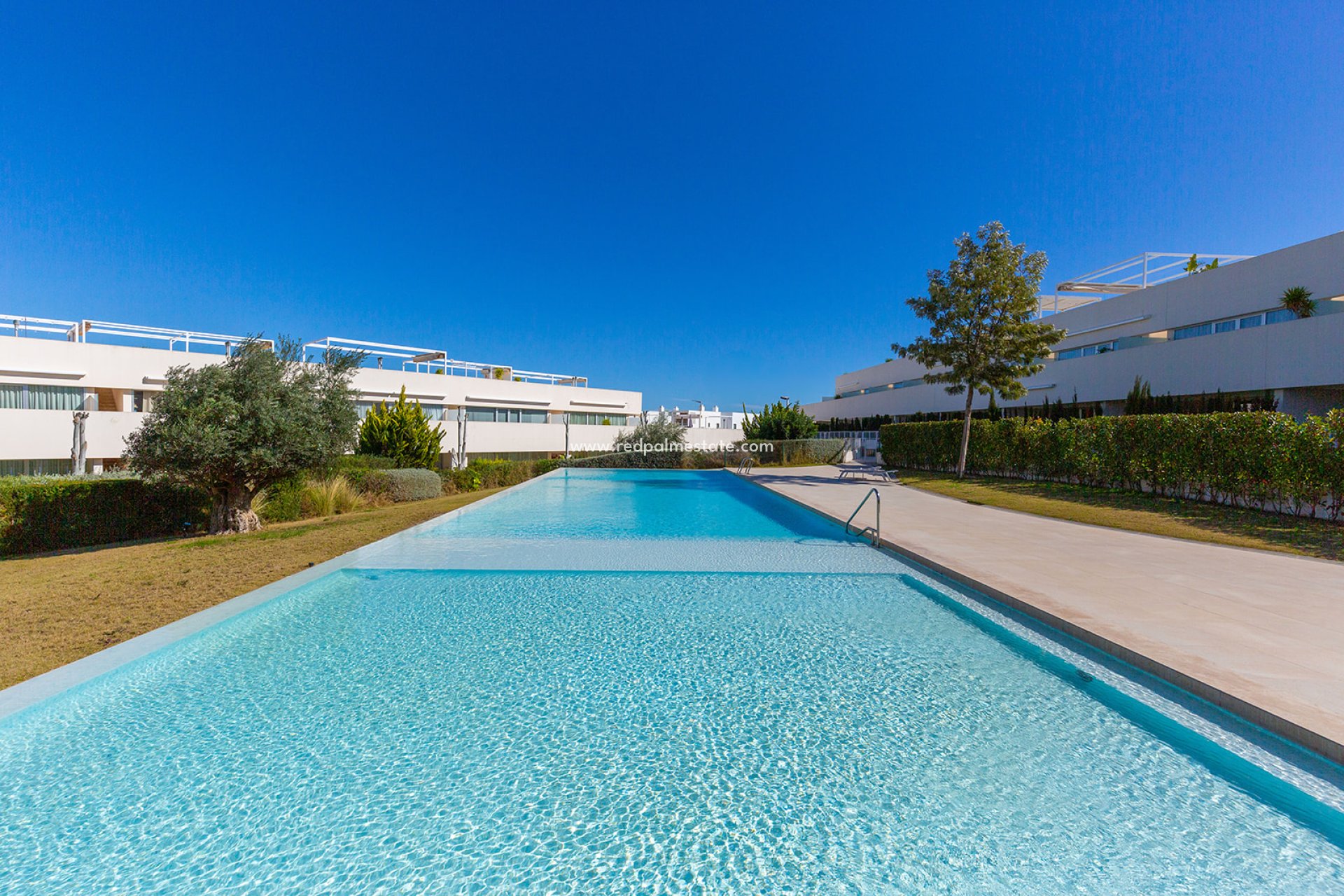 Reventa - Apartmentos -
Torrevieja - Los balcones