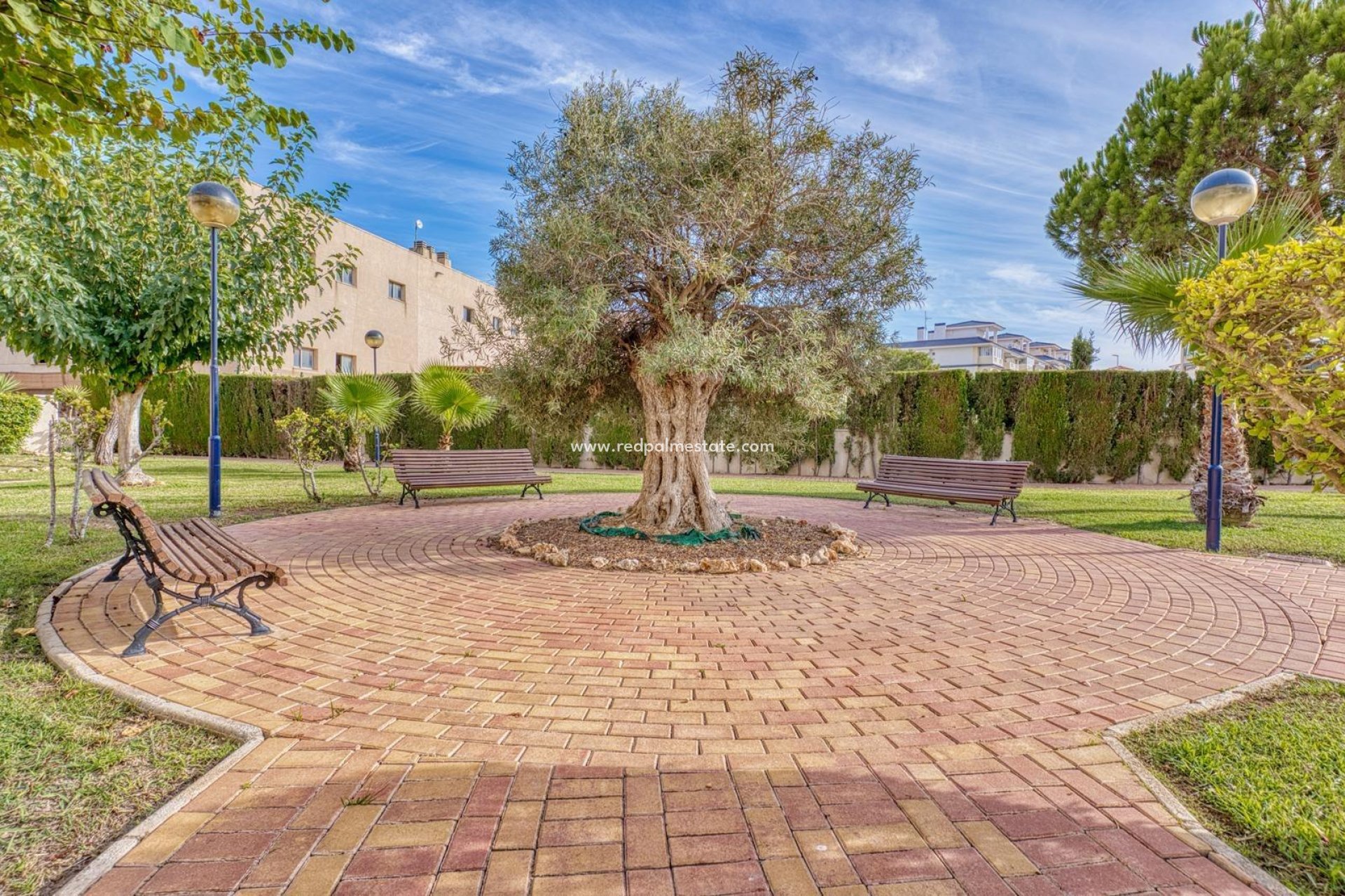 Reventa - Apartmentos -
Torrevieja - Los Europeos