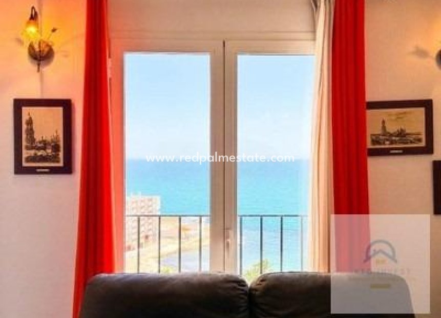 Reventa - Apartmentos -
Torrevieja - Los Frutales