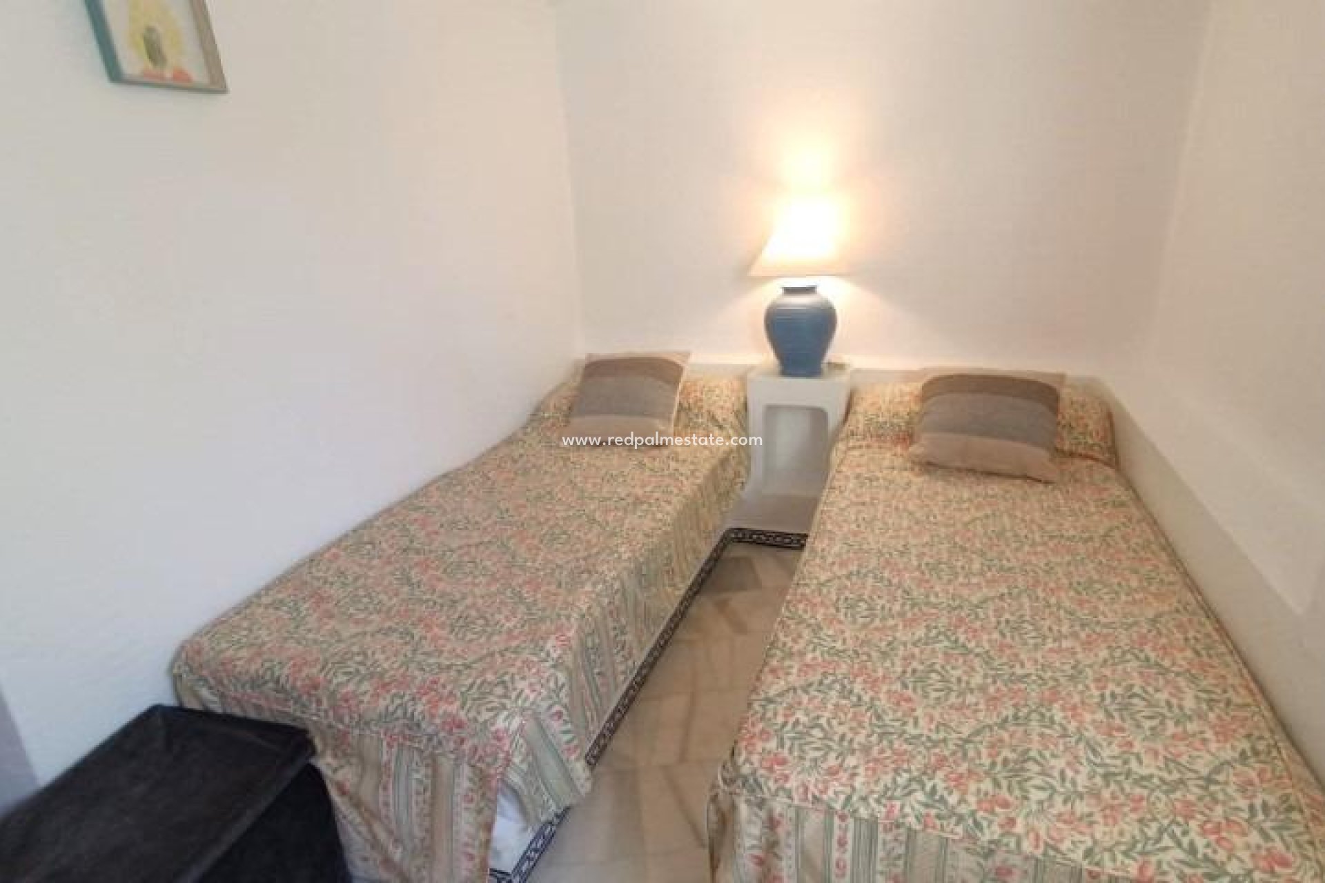 Reventa - Apartmentos -
Torrevieja - Los Frutales