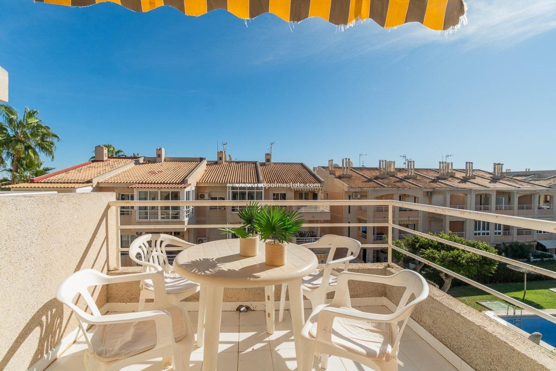 Reventa - Apartmentos -
Torrevieja - Los Frutales