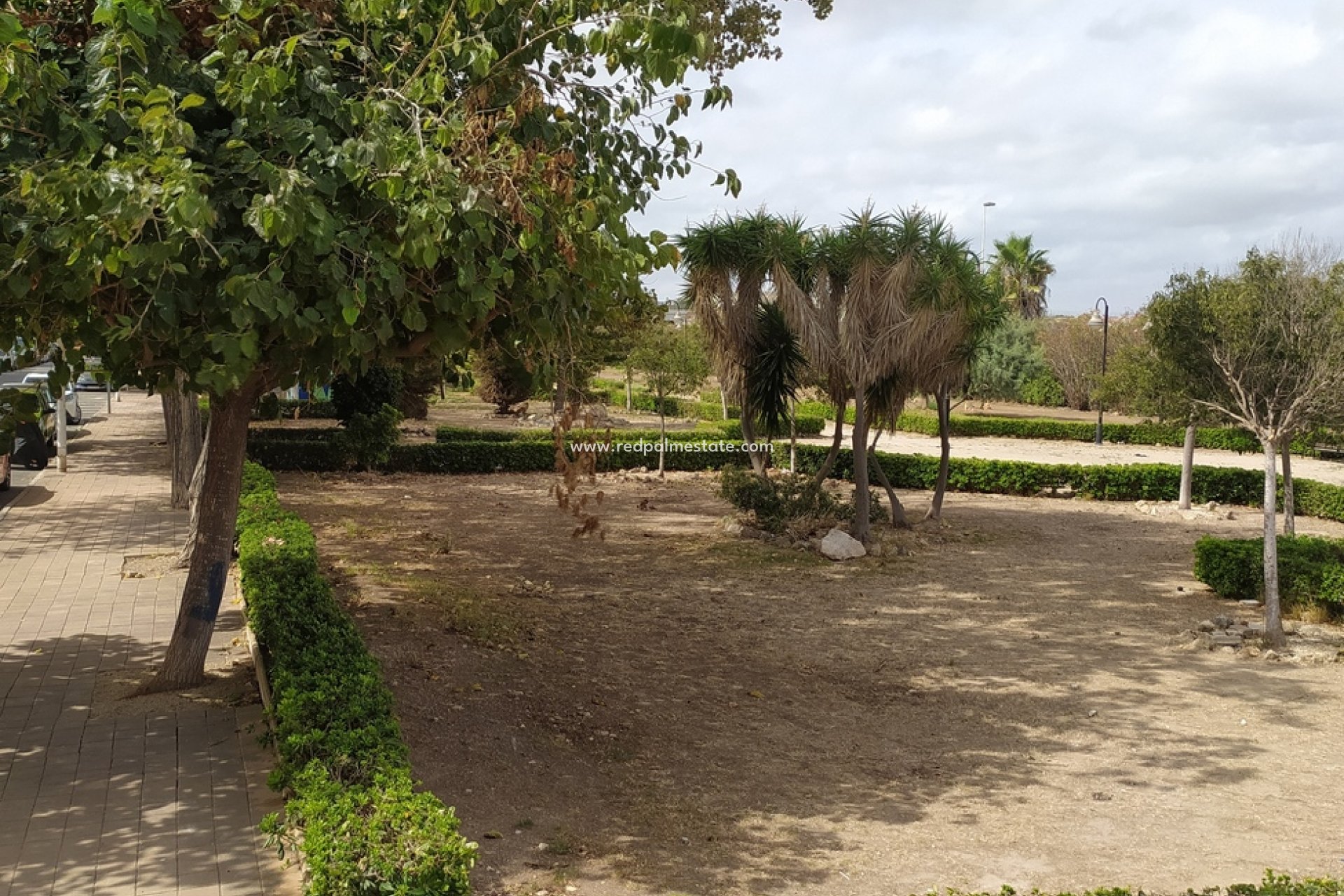 Reventa - Apartmentos -
Torrevieja - LOS NAUFRAGOS PLAYA