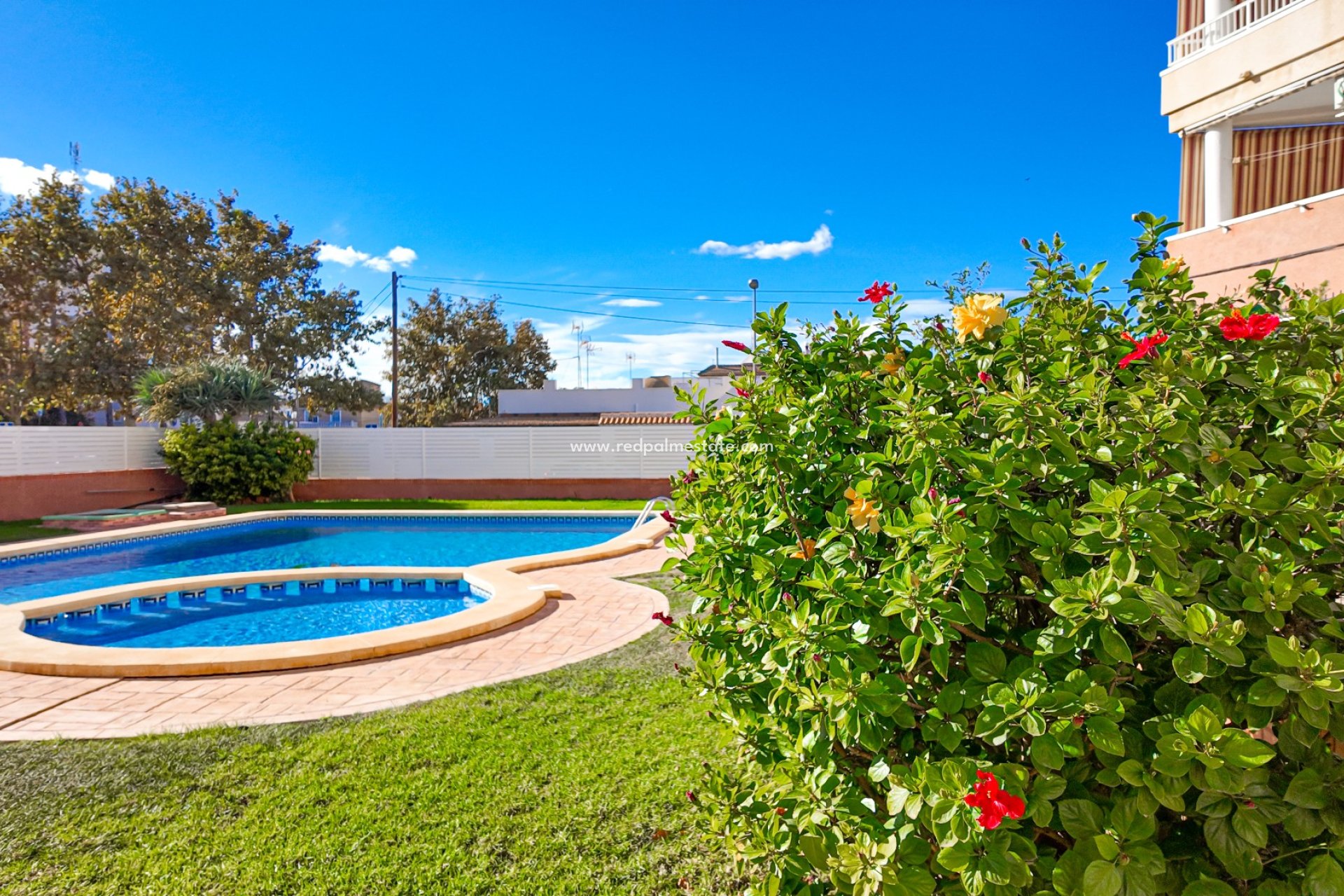 Reventa - Apartmentos -
Torrevieja - Nueva Torrevieja - Aguas Nuevas