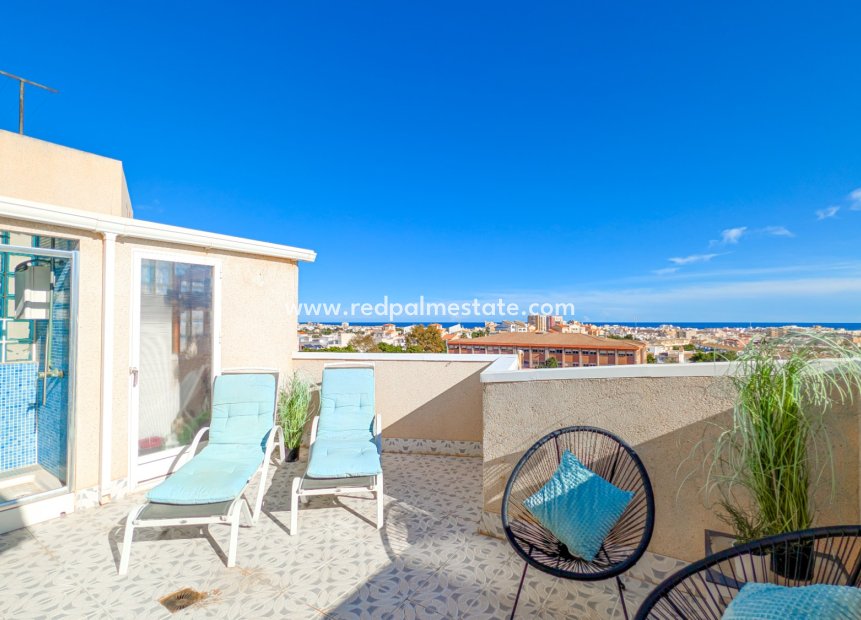 Reventa - Apartmentos -
Torrevieja - Nueva Torrevieja - Aguas Nuevas