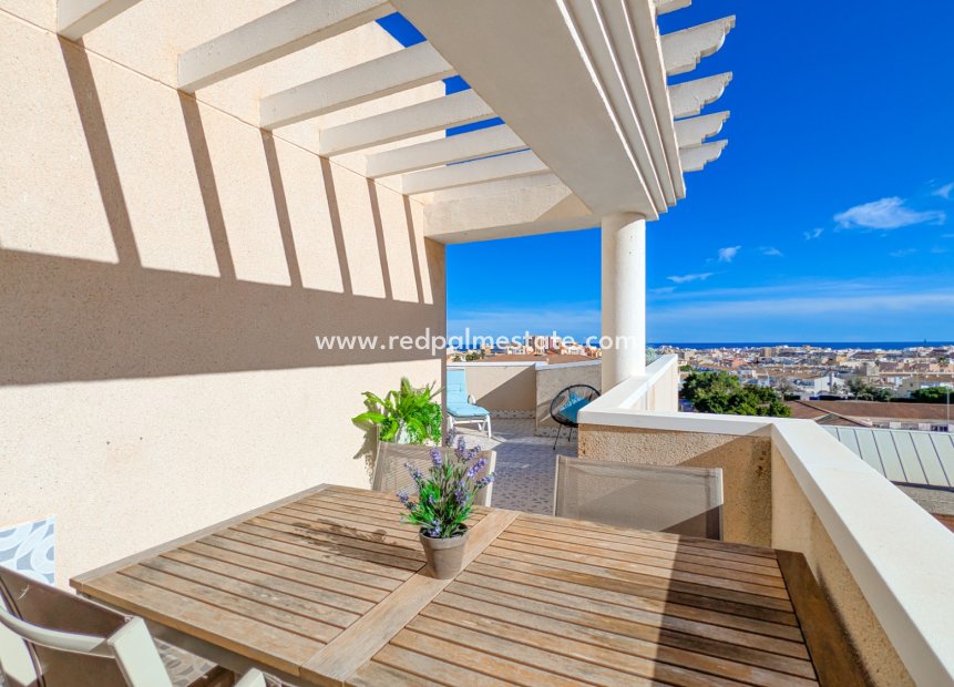 Reventa - Apartmentos -
Torrevieja - Nueva Torrevieja - Aguas Nuevas