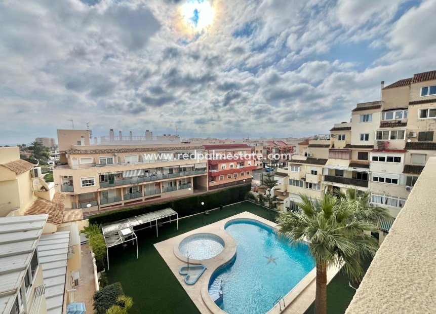 Reventa - Apartmentos -
Torrevieja - Nueva Torrevieja - Aguas Nuevas