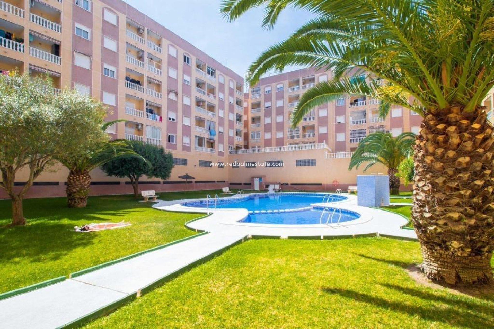 Reventa - Apartmentos -
Torrevieja - PARQUE DE LAS NACIONES