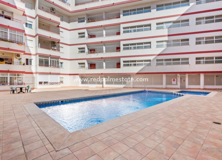Reventa - Apartmentos -
Torrevieja - Parque las naciones