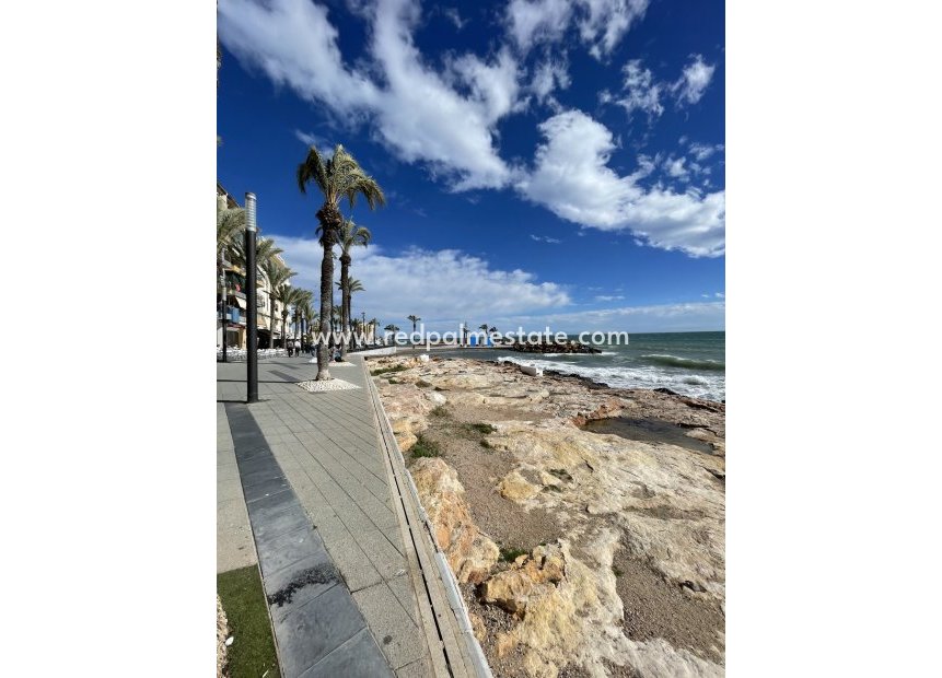 Reventa - Apartmentos -
Torrevieja - Playa de cura