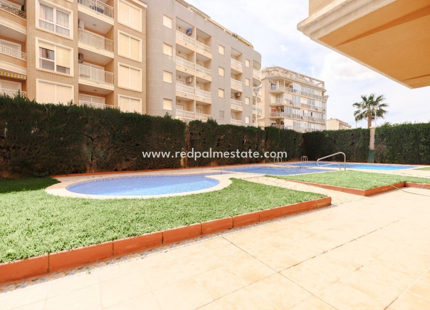Reventa - Apartmentos -
Torrevieja - Playa de los Locos