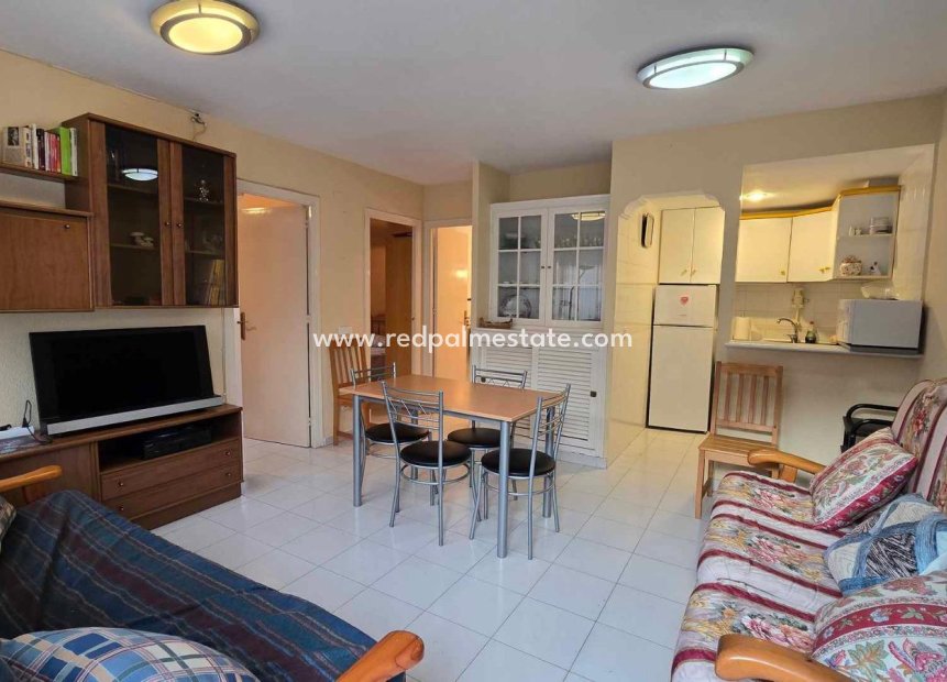 Reventa - Apartmentos -
Torrevieja - Playa de los locos