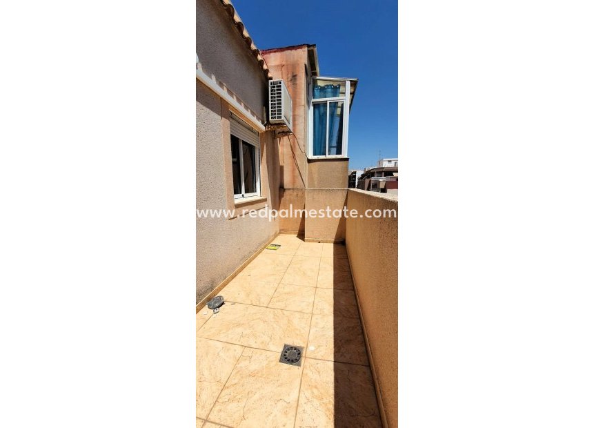 Reventa - Apartmentos -
Torrevieja - Playa de los Locos