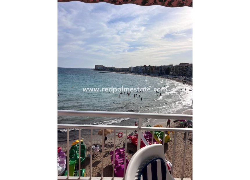 Reventa - Apartmentos -
Torrevieja - Playa de los Locos