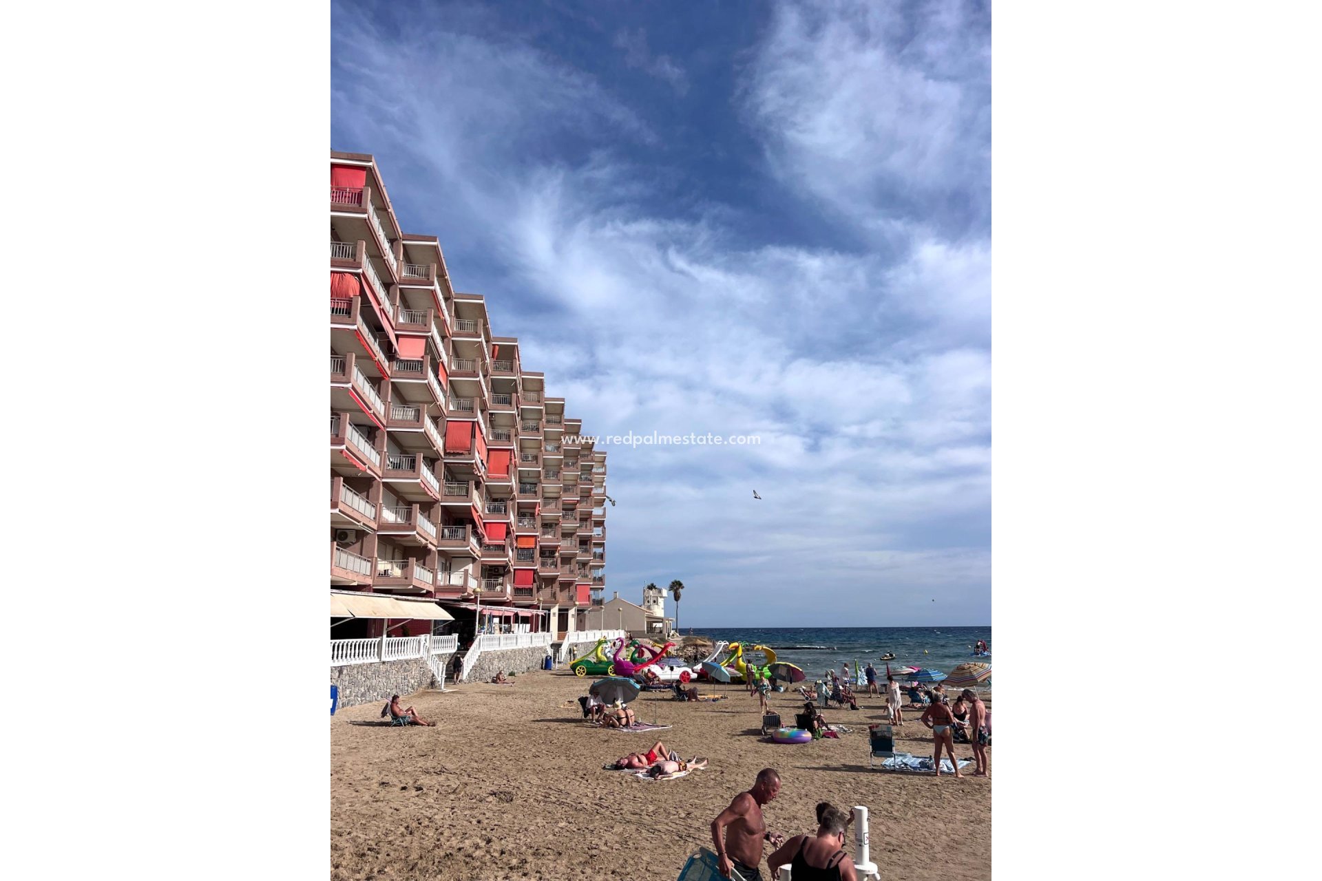 Reventa - Apartmentos -
Torrevieja - Playa de los Locos