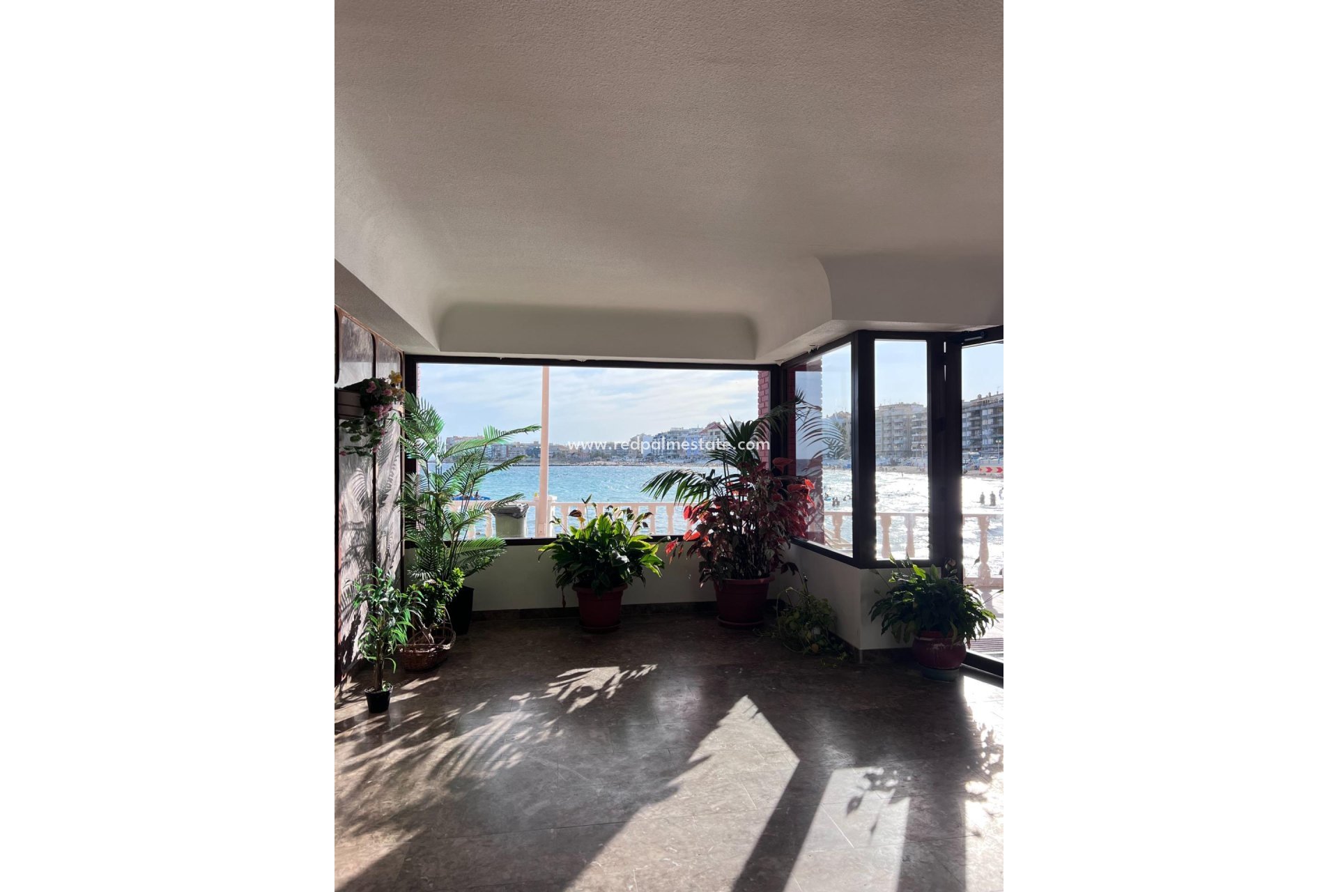 Reventa - Apartmentos -
Torrevieja - Playa de los Locos