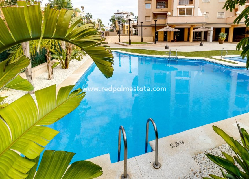 Reventa - Apartmentos -
Torrevieja - Playa de los Locos