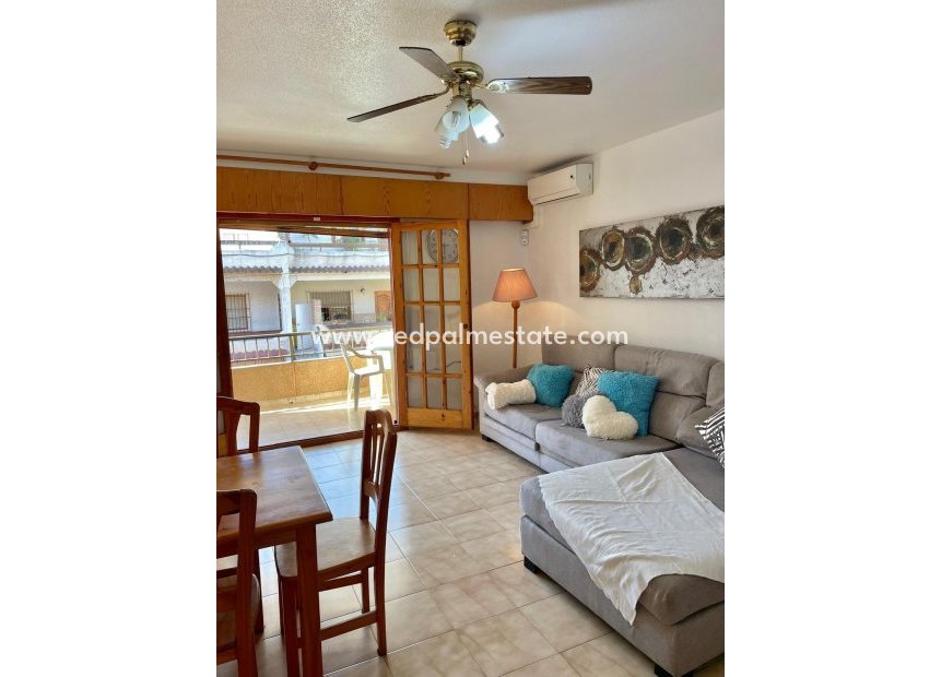 Reventa - Apartmentos -
Torrevieja - Playa de los Locos