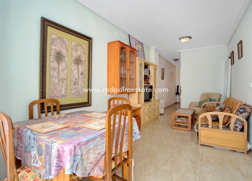 Reventa - Apartmentos -
Torrevieja - Playa de los Locos