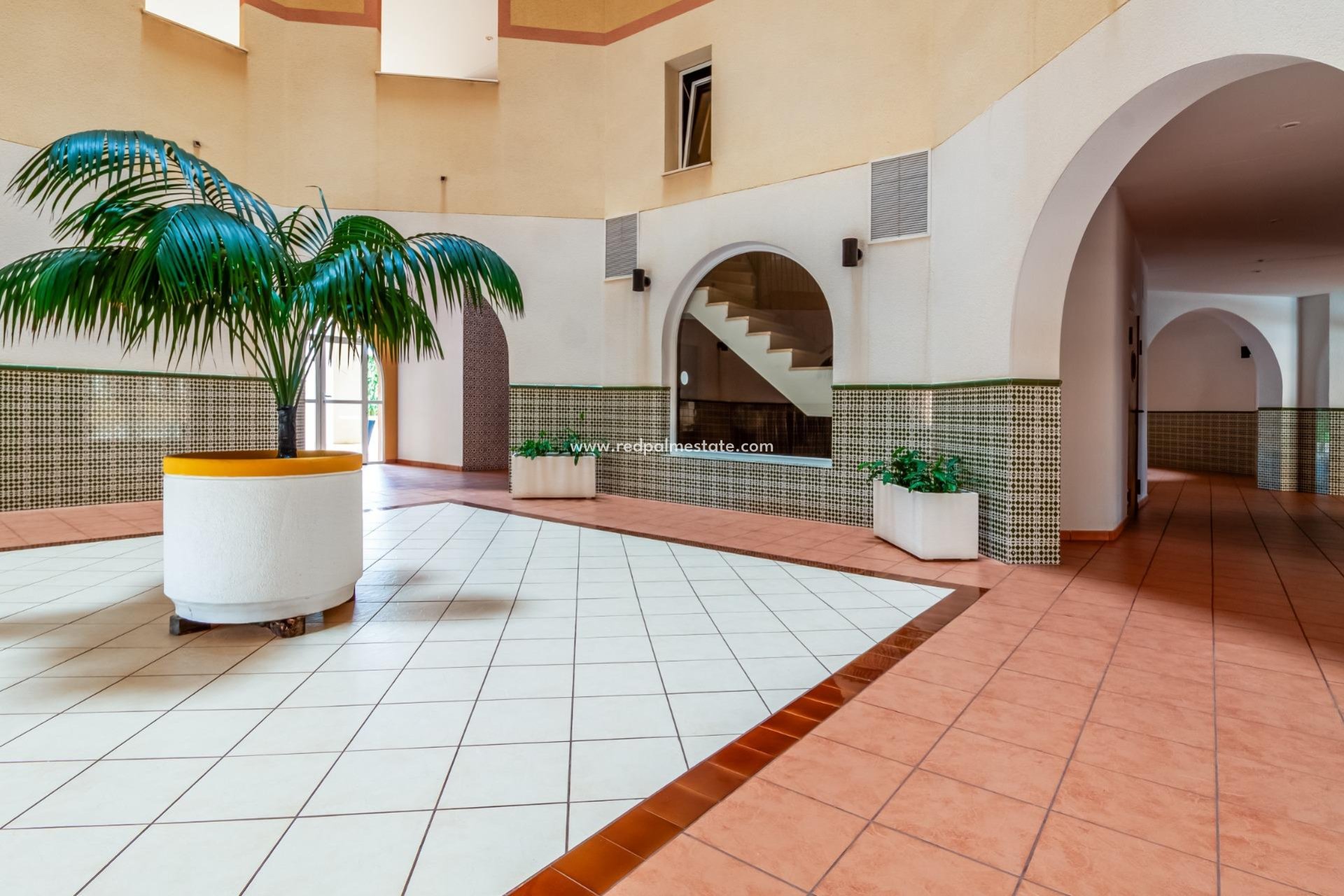 Reventa - Apartmentos -
Torrevieja - Playa de los Locos