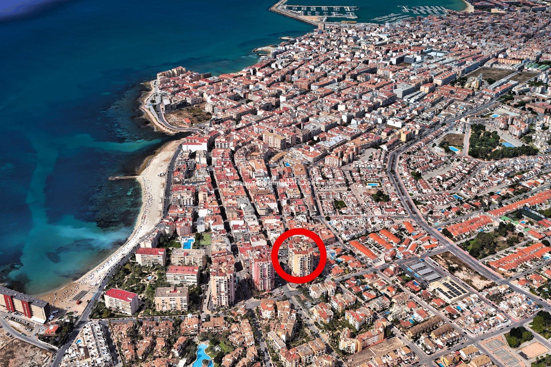 Reventa - Apartmentos -
Torrevieja - Playa de los Locos