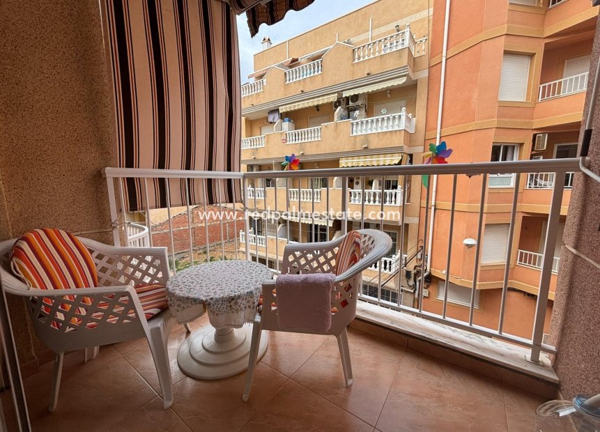 Reventa - Apartmentos -
Torrevieja - Playa de los Locos