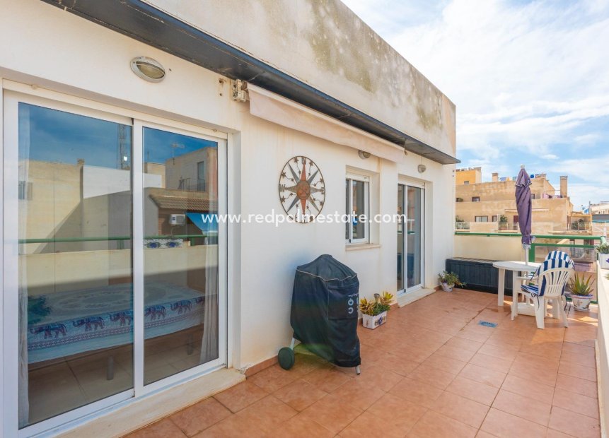 Reventa - Apartmentos -
Torrevieja - Playa de los Locos