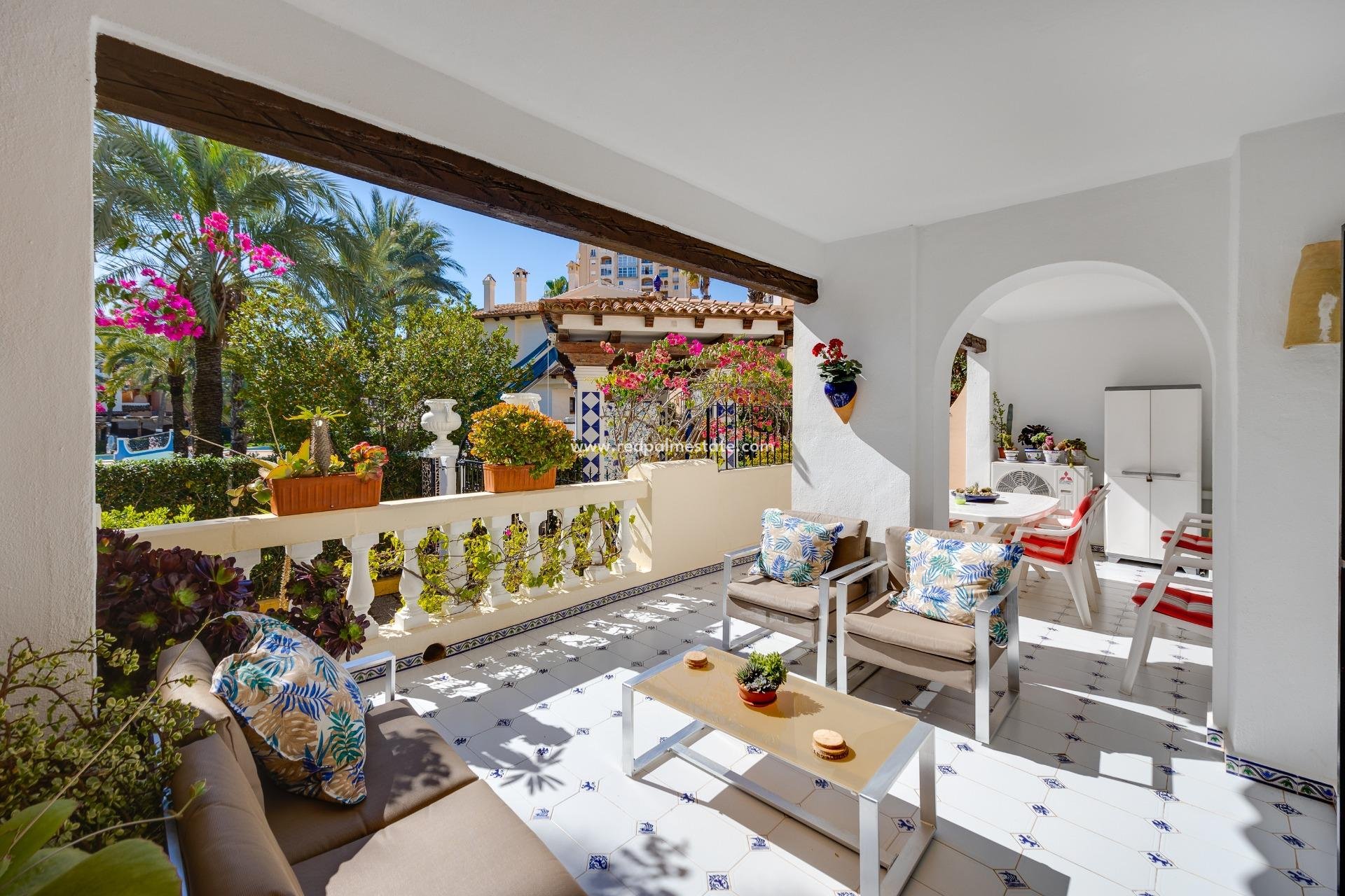 Reventa - Apartmentos -
Torrevieja - Playa de los Locos