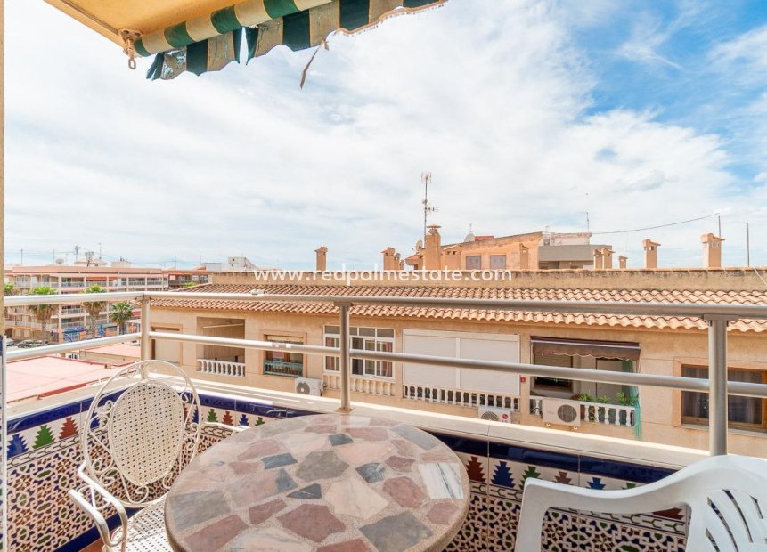 Reventa - Apartmentos -
Torrevieja - Playa de los Naufragos