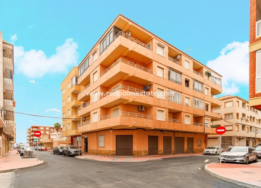 Reventa - Apartmentos -
Torrevieja - Playa de los Naufragos