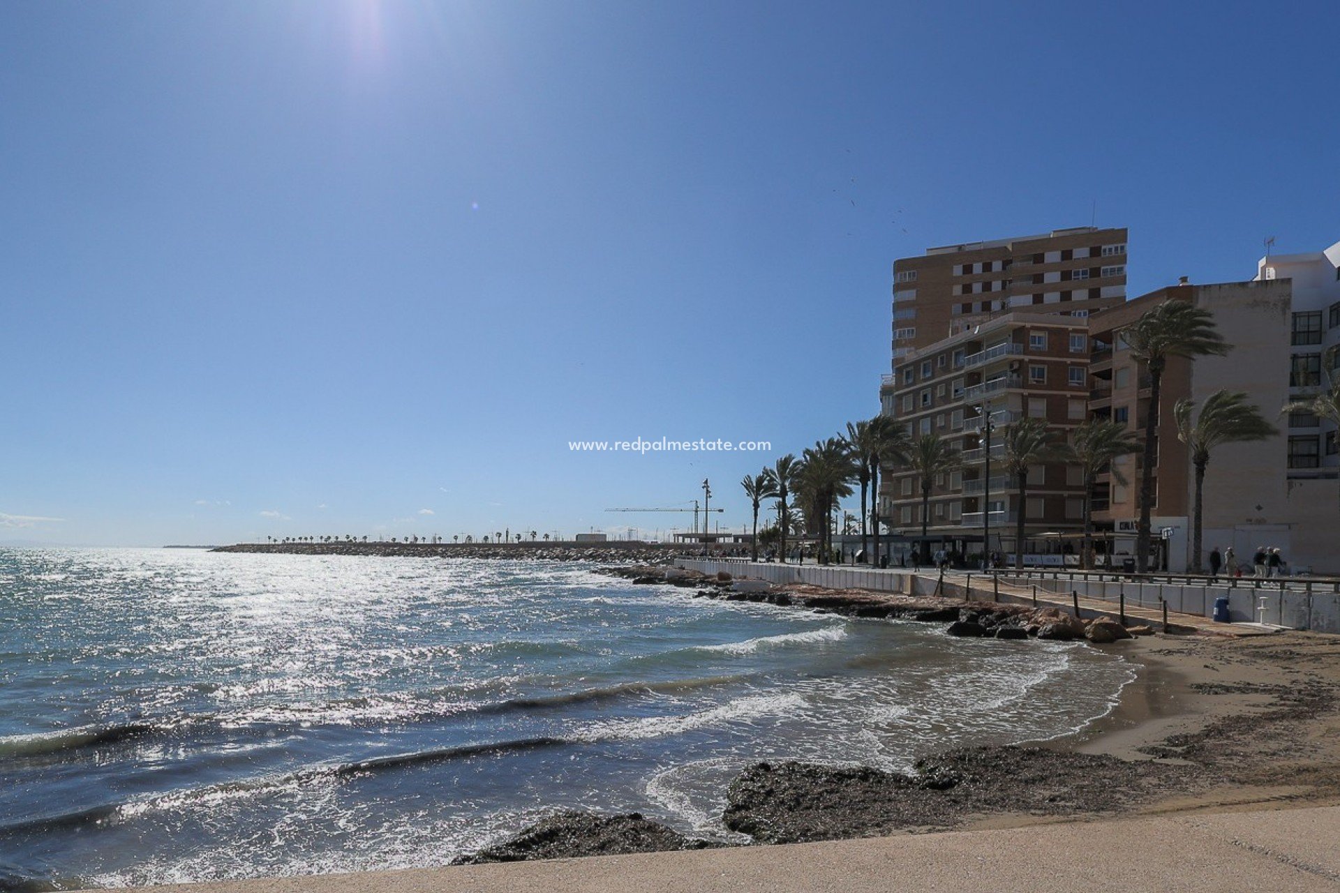 Reventa - Apartmentos -
Torrevieja - Playa del Cura
