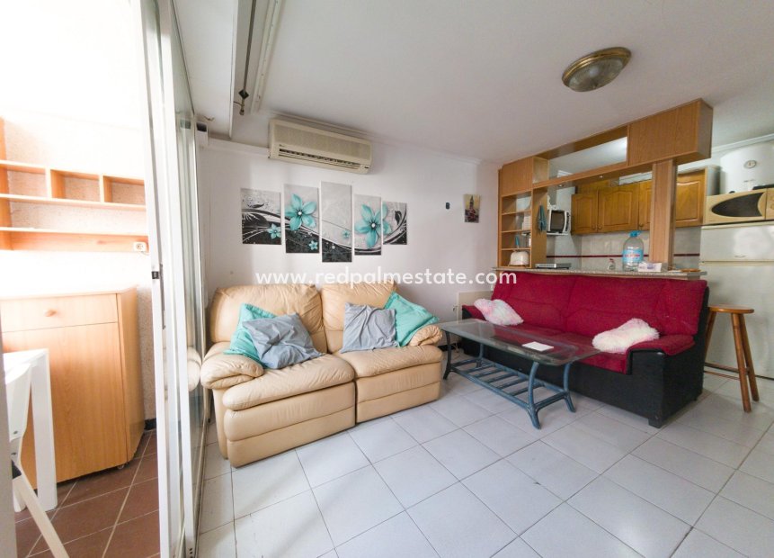 Reventa - Apartmentos -
Torrevieja - Playa del Cura