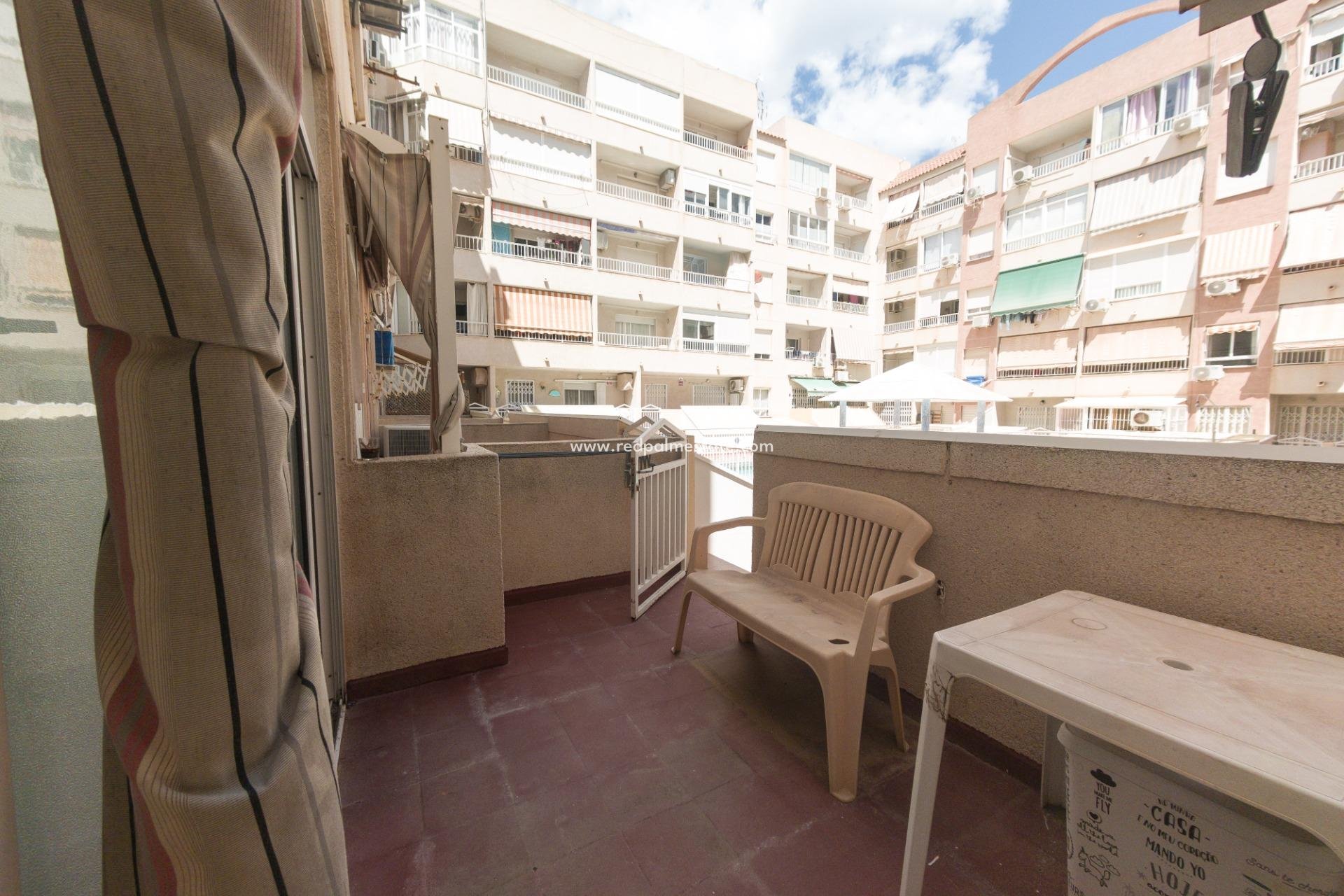 Reventa - Apartmentos -
Torrevieja - Playa del Cura