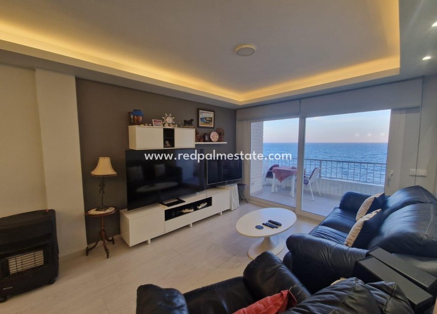 Reventa - Apartmentos -
Torrevieja - Playa del Cura