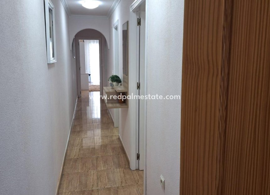 Reventa - Apartmentos -
Torrevieja - Playa del Cura
