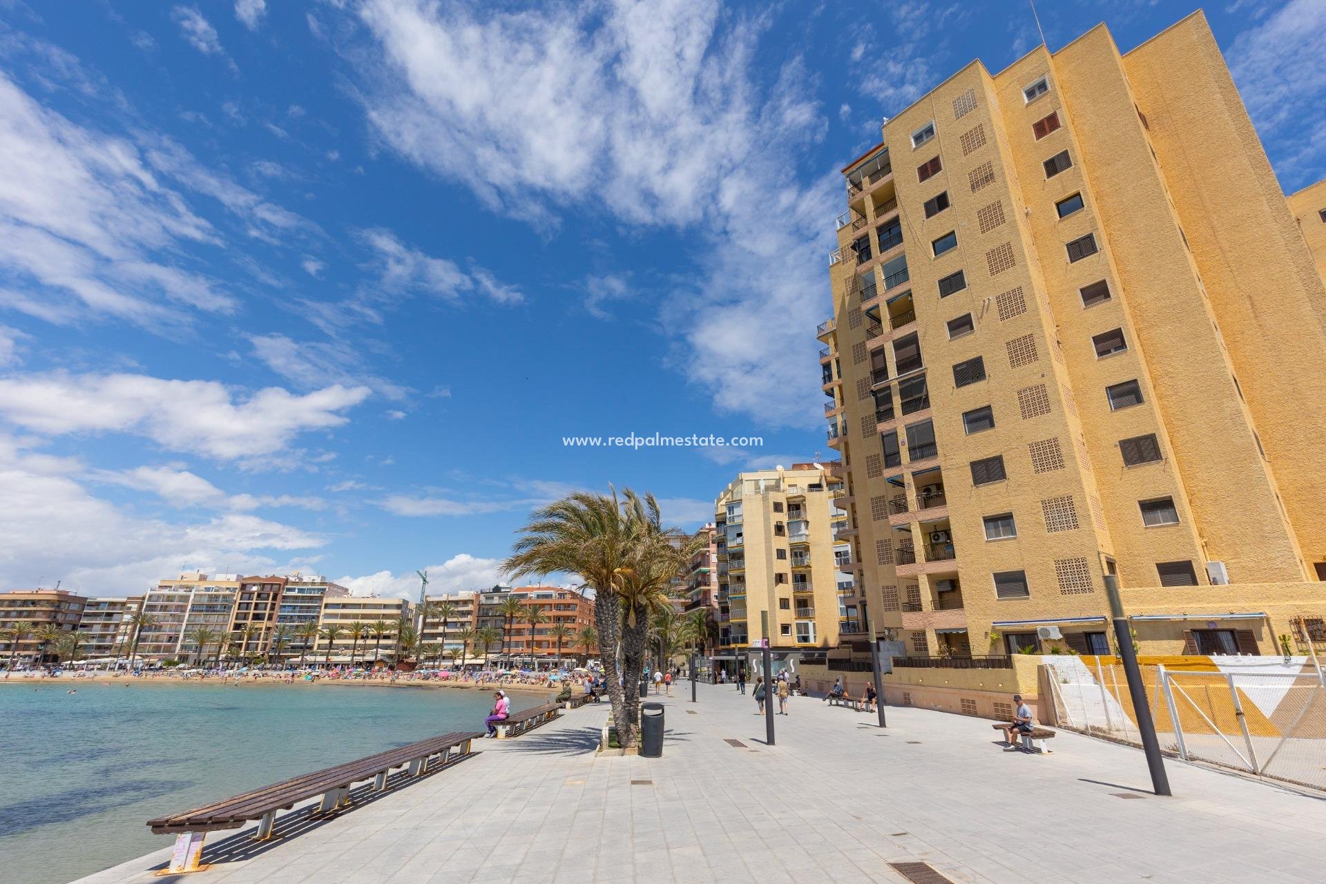 Reventa - Apartmentos -
Torrevieja - Playa del Cura