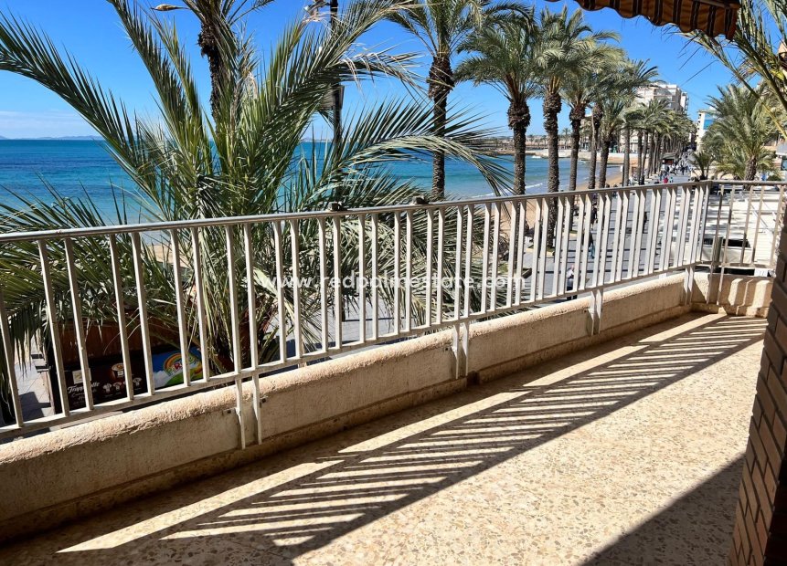 Reventa - Apartmentos -
Torrevieja - Playa del Cura