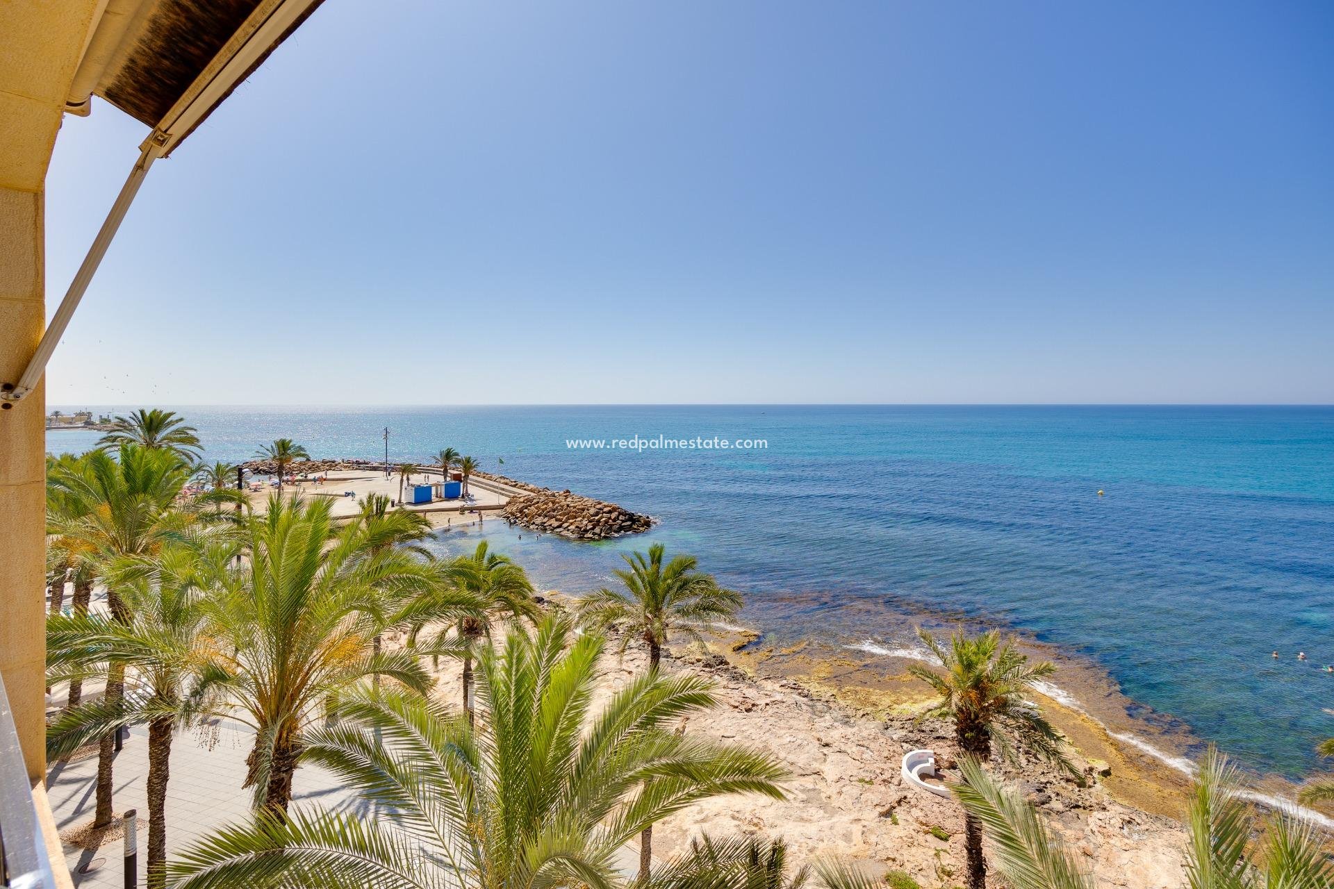 Reventa - Apartmentos -
Torrevieja - Playa del Cura