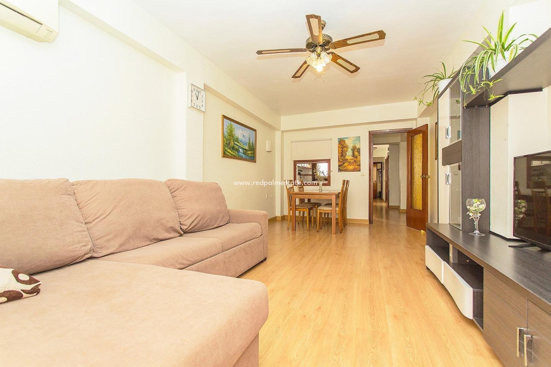 Reventa - Apartmentos -
Torrevieja - Playa del Cura