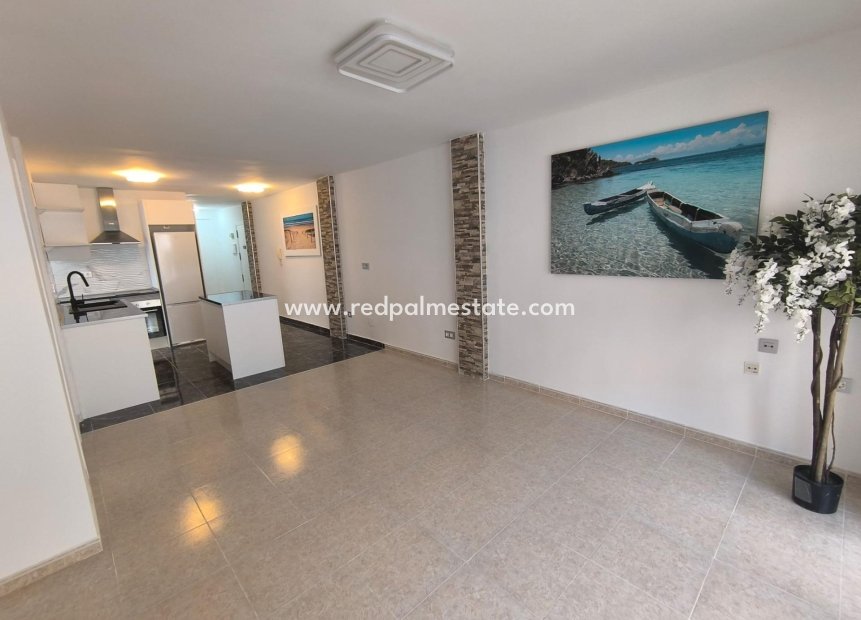 Reventa - Apartmentos -
Torrevieja - Playa del cura