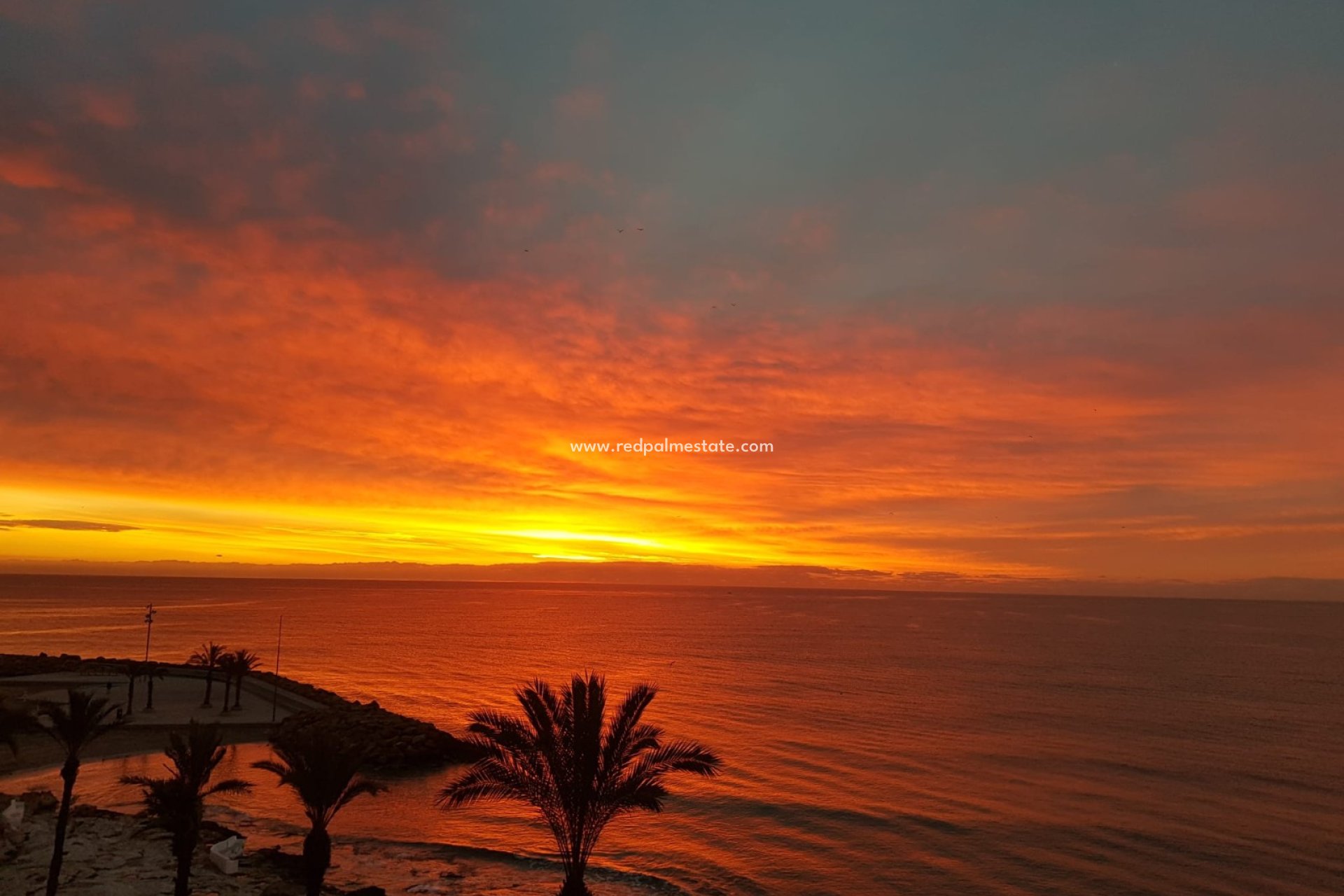 Reventa - Apartmentos -
Torrevieja - Playa del Cura