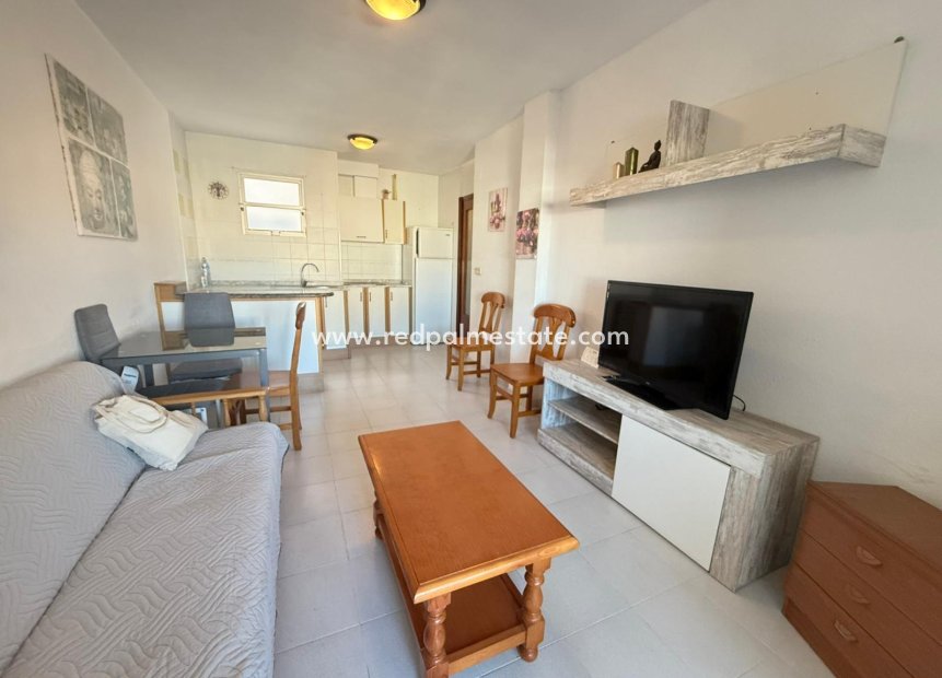 Reventa - Apartmentos -
Torrevieja - Playa del Cura