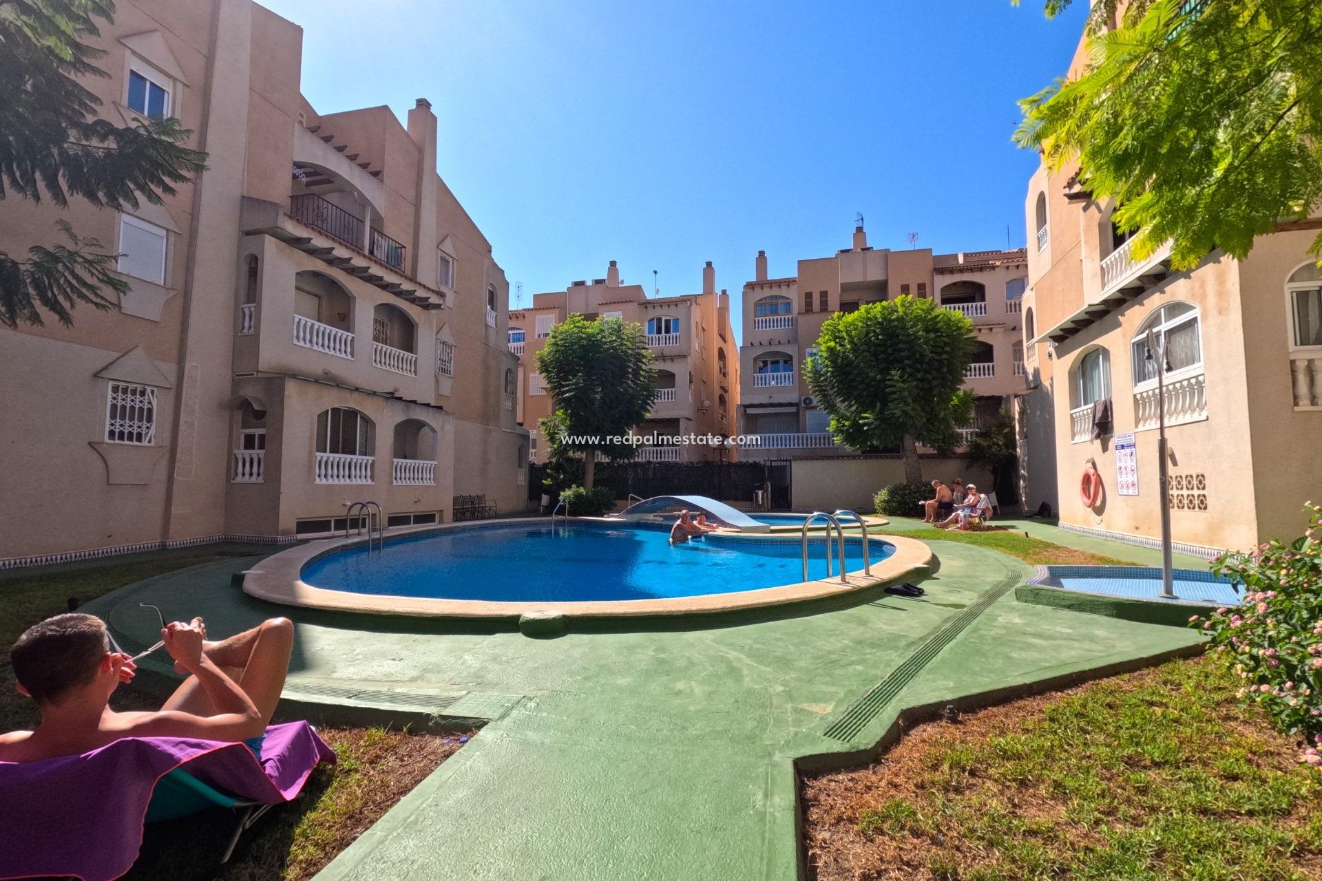 Reventa - Apartmentos -
Torrevieja - Playa del Cura