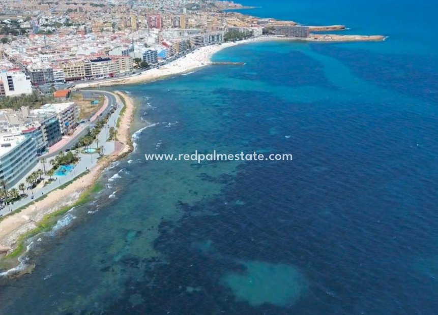 Reventa - Apartmentos -
Torrevieja - Playa del Cura